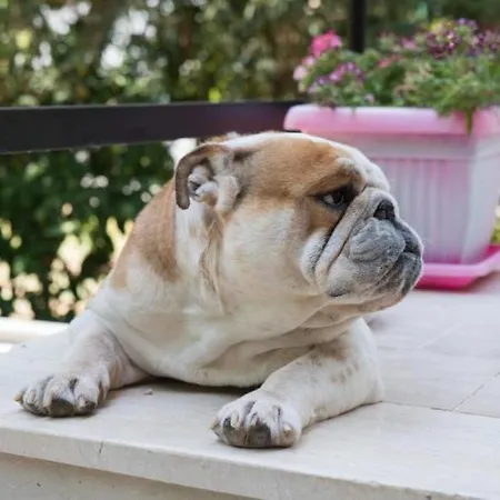 アパート Vessarios *